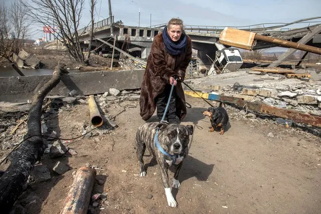A woman with dogs walks next to a destroyed bridge during evacuation from the Irpin town, as Russia's attack on Ukraine continues, outside of Kyiv, Ukraine on March 28, 2022. (Photo by Oleksandr Ratushniak/Reuters)