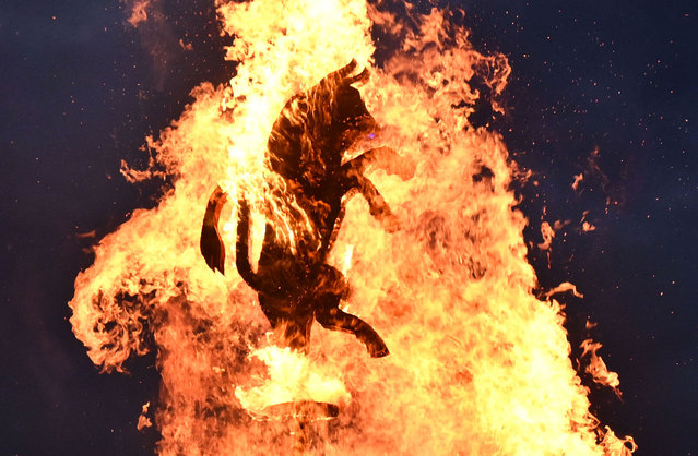 The symbol of the Bull of the city of Turin during the San Giovanni (Saint John) patron saint festival on June 23, 2024 in Turin, Italy. The patronal feast of St. John is observed annually on June 24. (Photo by Stefano Guidi/Getty Images)