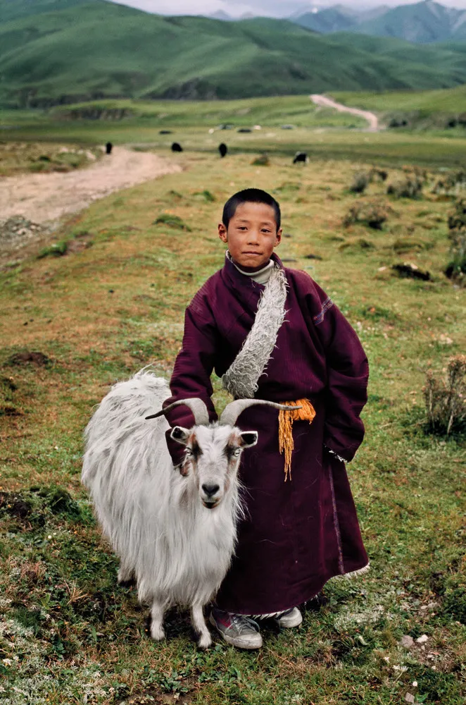 Animals by Steve McCurry