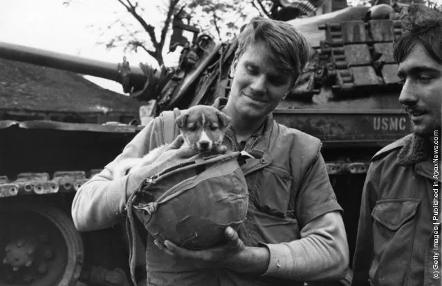 American marines with their pet dog in Vietnam, 1968