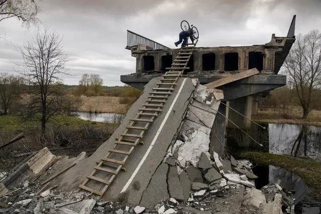 A local resident Mykola, 70, climbs down with a stepladder from a bridge destroyed during Russia's invasion in the village of Kukhari in Kyiv region, Ukraine on April 19, 2022. (Photo by Vladyslav Musiienko/Reuters)