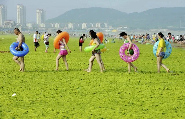 Visitors walk across a beach covered by seaweed in Qingdao in eastern China's Shandong province Friday, July 24, 2015. Beaches in Qingdao have been plagued by large recurring seaweed drifts from the Yellow Sea during recent summers. (Photo by Chinatopix/AP Photo)