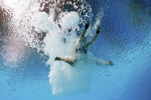 Noemi Batki of Italy is seen underwater during the women's 10m platform semi final at the Aquatics World Championships in Kazan, Russia July 29, 2015. (Photo by Stefan Wermuth/Reuters)