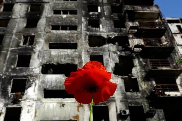 A red poppy flower stands in front of a destroyed residential building in Mariupol on May 31, 2022, amid the ongoing military action in Ukraine. (Photo by AFP Photo/Stringer)