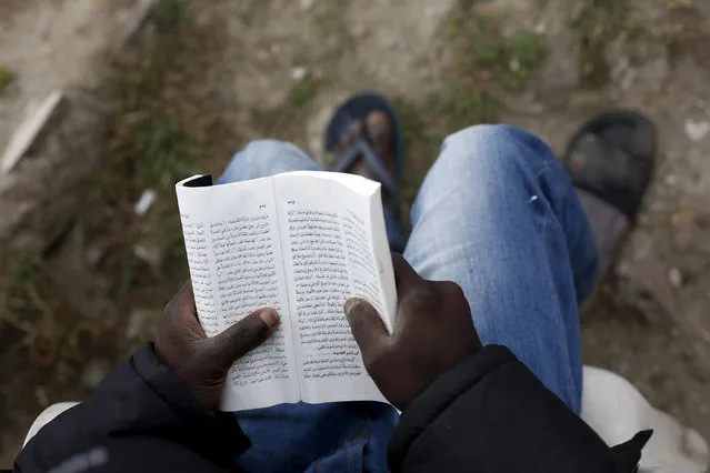 Ali from Sudan reads the Bible at “The New Jungle” camp in Calais, France, August 8, 2015. (Photo by Juan Medina/Reuters)
