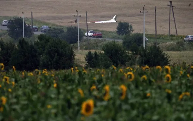 The wreckage of a Malaysia Airlines Boeing 777 plane (back) is seen, with sunflowers in the foreground, near the settlement of Grabovo in the Donetsk region, July 17, 2014. The Malaysian airliner Flight MH-17 was brought down over eastern Ukraine on Thursday, killing all 295 people aboard and sharply raising stakes in a conflict between Kiev and pro-Moscow rebels in which Russia and the West back opposing sides. (Photo by Maxim Zmeyev/Reuters)