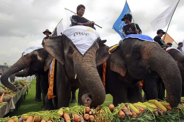 Elephants eat fruit and vegetables during the 2014 King's Cup Elephant Polo Tournament in Samut Prakan province, on the outskirts of Bangkok August 28, 2014. A total of 16 international teams and 51 Thai elephants are participating in the tournament that runs from August 28-31. (Photo by Chaiwat Subprasom/Reuters)