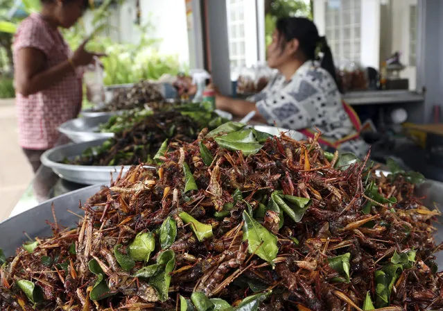 In this photo taken August 19, 2014, a woman, right, sells fried grasshoppers and other fried insects at a stand at a gas station in Nakhon Ratchasima province, northeastern Thailand. Six-legged livestock, as the U.N. Food and Agriculture Organization calls them, are also easier on the environment than their lesser-legged counterparts. (Photo by Apichart Weerawong/AP Photo)