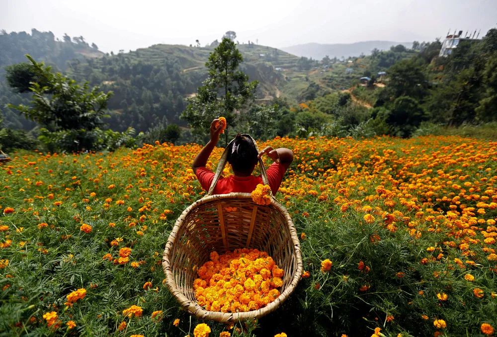 A Look at Life in Nepal