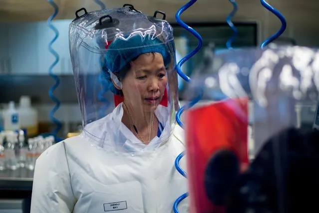 This file photo taken on February 23, 2017 shows Chinese virologist Shi Zhengli inside the P4 laboratory in Wuhan, capital of China's Hubei province. The World Health Organization said on May 5, 2020 that Washington had provided no evidence to support “speculative” claims by the US president that the new coronavirus originated in a Chinese lab. The facility is among a handful of labs around the world cleared to handle Class 4 pathogens (P4) – dangerous viruses that pose a high risk of person-to-person transmission. (Photo by Johannes Eisele/AFP Photo)