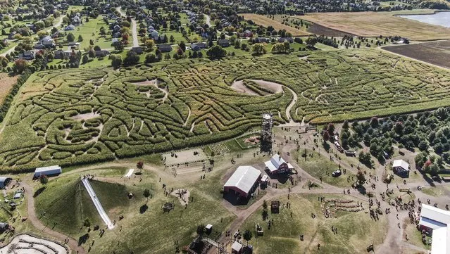 An aerial photo made with a drone shows the world's largest corn maze at the Richardson Adventure Farm, in Spring Grove, Illinois, USA, 08 October 2022. The maze is planted on 10 acres and features more than 10 miles (16k) of paths and trails. The maze is created by special planters using GPS, and celebrates 60 years of James Bond Agent 007 and the actors who portrayed the character in movies. (Photo by Tannen Maury/EPA/EFE)