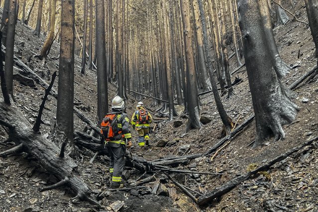 This photo taken and released on March 6, 2025 by the Fire and Disaster Management Agency shows firefighters walking amongst burnt trees as they battle a wildfire in Ofunato city of Iwate Prefecture. Japan battled its worst wildfire in half a century on March 5 in a region hit by record-low rainfall, as wet weather gave hope for some relief. (Photo by Handout/Fire and Disaster Management Agency/AFP Photo)