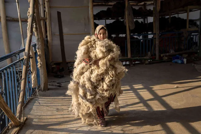 An Afghan girl works at a traditional carpet factory in Kabul, Afghanistan, Sunday, March 5, 2023. After the Taliban came to power in Afghanistan, women have been deprived of many of their basic rights. (Photo by Ebrahim Noroozi/AP Photo)