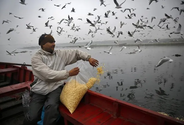 A man feeds flying seagulls over the waters of the river Yamuna on a cold, winter morning in New Delhi December 18, 2014. (Photo by Ahmad Masood/Reuters)