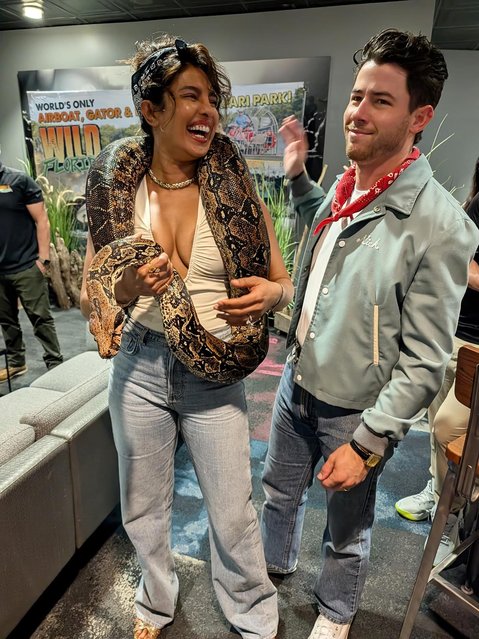 American singer-songwriter Nick Jonas and Indian actress Priyanka Chopra pose with a python in the last decade of October 2025. (Photo by priyankachopra/Instagram)