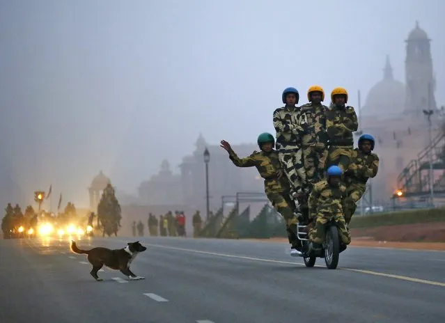 A stray dog chases India's Border Security Force (BSF) “Daredevils” motorcycle riders as they perform during a rehearsal for the Republic Day parade on a winter morning in New Delhi January 9, 2015. India will celebrate its annual Republic Day on January 26. (Photo by Anindito Mukherjee/Reuters)
