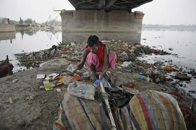 In this photo taken May 28, 2018, Ram Nath, 40, sorts reusable trash he fished out from Yamuna, India's sacred river that flows through the capital of New Delhi. For more than 25 years, Ram Nath has lived on the banks of the Yamuna River under a 19th-century iron bridge. Each morning, the wiry man walks a few steps from his makeshift hut and enters the black, sludgy waters of one of India’s most polluted rivers. (Photo by Altaf Qadri/AP Photo)