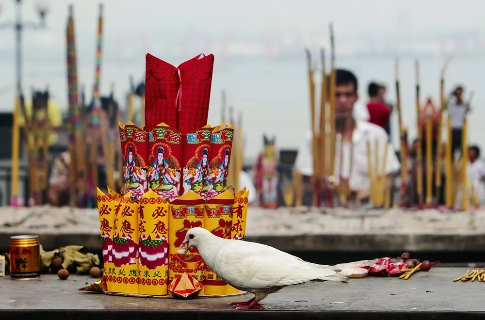 The Week in Pictures: January 10 – January 16, 2015. Part 5/7