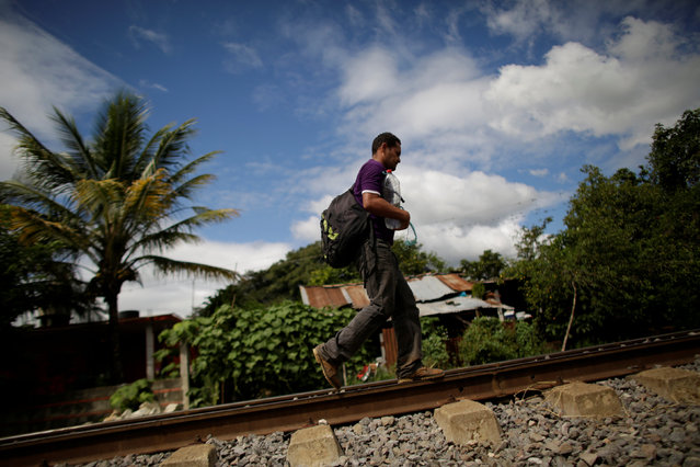 An immigrant walks along a railroad toward the premises of a group called “Las Patronas” (The bosses), a charitable organization that feeds Central American immigrants on their way to the border with the United States who travel atop a freight train known as “La Bestia”, in Amatlan de los Reyes, in Veracruz state, Mexico October 22, 2016. (Photo by Daniel Becerril/Reuters)