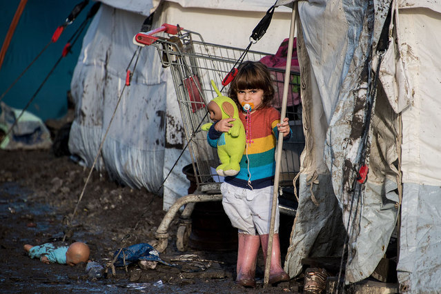 The child of Kurdish migrants stands outside a tent at the Grande Synthe migrant camp near Dunkerque in northern France on December 23, 2015. More than 2,000 migrants, mostly Iraqis and Kurds, live in the camp. The UN refugee agency and the International Organization for Migration (IOM) said this week more than one million migrants and refugees reached Europe this year, most of them by sea, more than four times the figure for 2014. (Photo by Denis CharletAFP Photo)