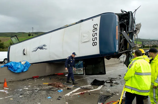 A California Highway Patrol investigator examines the scene of a fatal Greyhound bus crash, Tuesday, January 19, 2016, in San Jose, Calif. The bus flipped on its side while traveling north on Highway 101, according to the San Jose Fire Department. (Photo by Noah Berger/AP Photo)