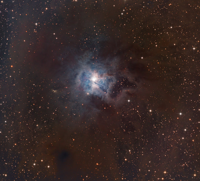 NGC7023 the Iris Nebula is bright reflection nebula in the constellation Cepheus. It is aproxmatly1300 light years away and 6 light years across. NGC7023 is the cluster inside the nebula. The nebula is illuminated by a +6.8 mag star SAO19158. (Bill Snyder)