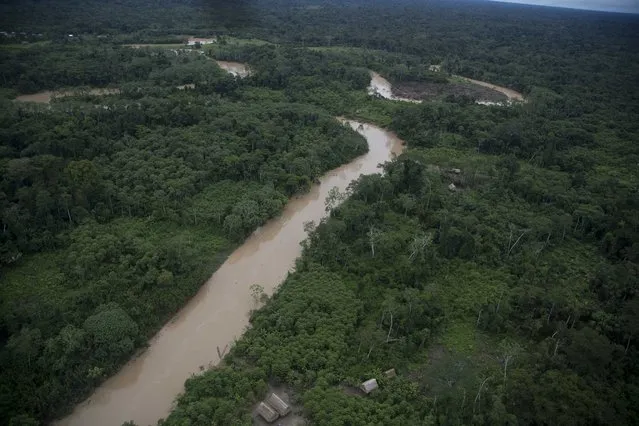 This March 16, 2015 photo shows where Ashaninka Indians live in hamlets, along the Putaya River, in Peru's Ucayali department. Illegal logging persists unabated in this remote Amazon community where four indigenous leaders who resisted it were slain in September. (Photo by Martin Mejia/AP Photo)