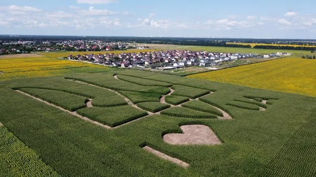 An aerial view shows corn stalks planted by Ukrainian farmers in the shape of the national coat of arms, trident, ahead of the country's 30th anniversary of independence, in a field near Boryspil International Airport outside Kyiv, Ukraine on July 22, 2021. (Photo by Gleb Garanich/Reuters)