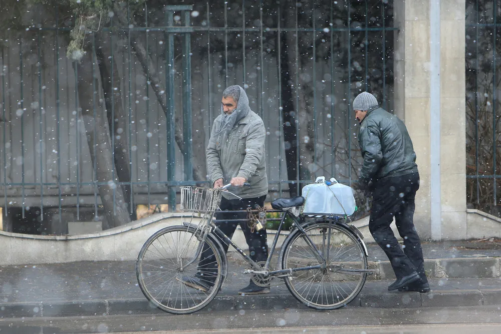 A Look at Life in Syria