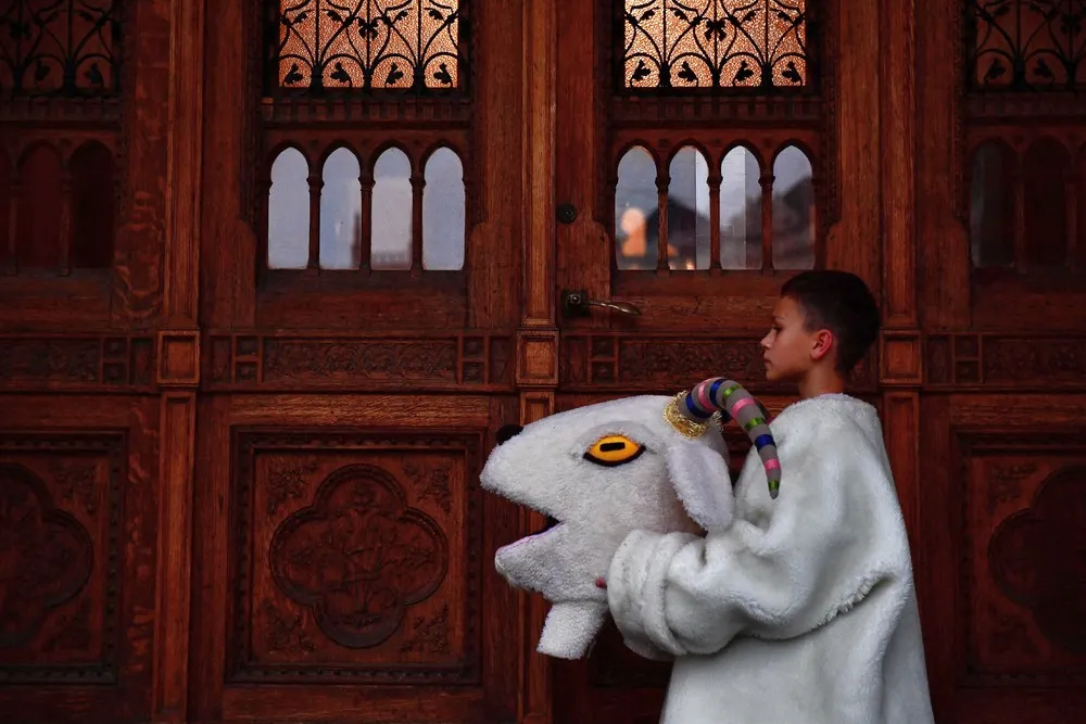 Pictures of the Year 2022, Part 150/163