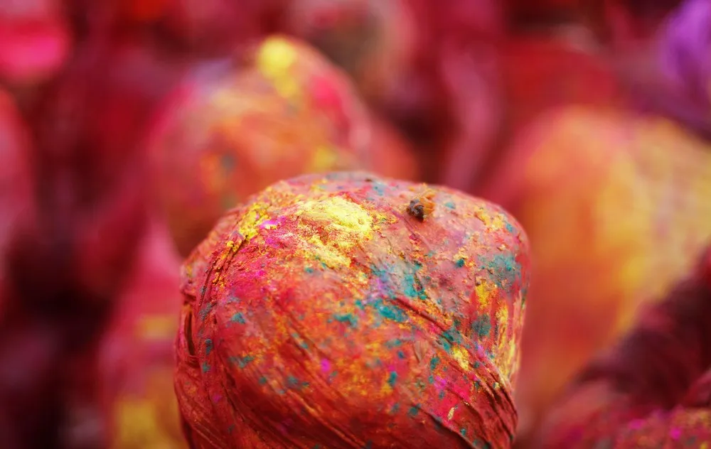 Holi Celebrations in India 2019