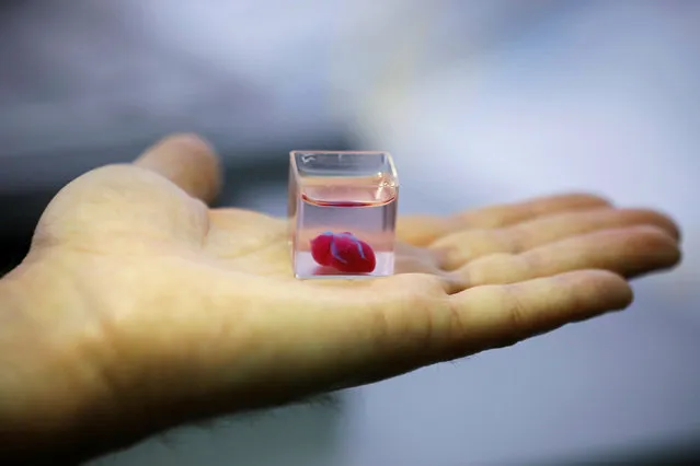 A transparent cup containing what Israeli scientists from Tel Aviv University say is the world's first 3D-printed, vascularised engineered heart, is seen during a demonstration at a laboratory in the university, Tel Aviv, Israel on April 15, 2019. (Photo by Amir Cohen/Reuters)
