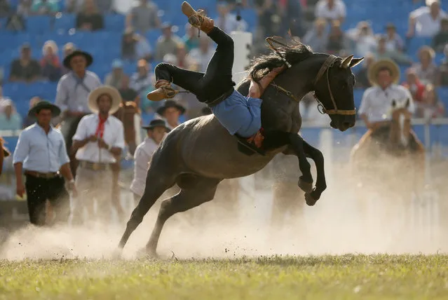 A gaucho is unseated by an untamed horse during Creole week celebrations in Montevideo, Uruguay on April 17, 2019. (Photo by Andres Stapff/Reuters)