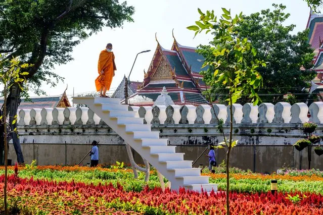 A Buddhist monk looks on from a staircase in the middle of a park in central Bangkok on January 2, 2021. (Photo by Mladen Antonov/AFP Photo)