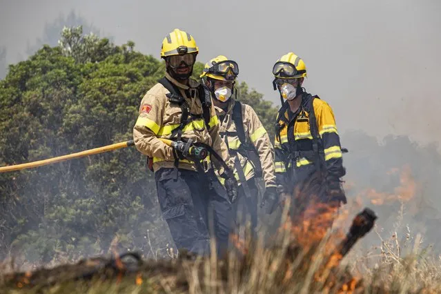 Firefighters try to extinguish a wildfire in Palma d'Ebre, near Tarragona, Spain, Thursday, June 27, 2019. Authorities suspect the cause of the outbreak was a deposit of improperly stored manure. Firefighters say that high temperatures and a drop in humidity will likely fan the flames. (Photo by Jordi Borras/AP Photo)