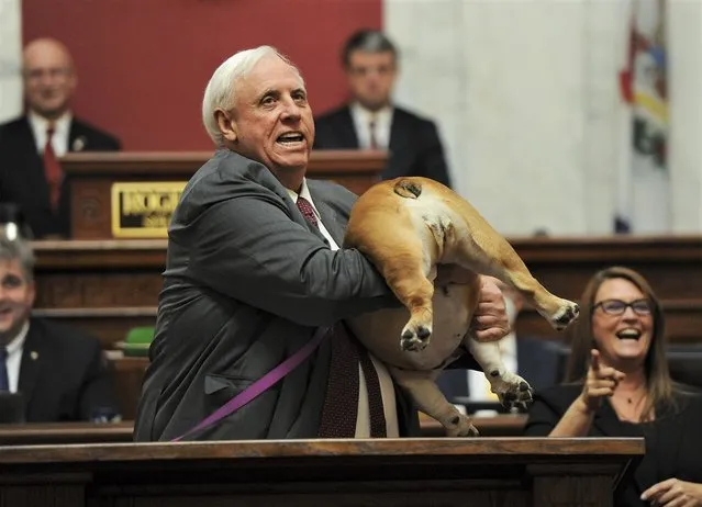 West Virginia Gov. Jim Justice holds up his dog Babydog's rear end as a message to people who've doubted the state as he comes to the end of his State of the State speech in the House chambers, Thursday, January 27, 2022, in Charleston, W.Va. (Photo by Chris Dorst/Charleston Gazette-Mail via AP Photo)