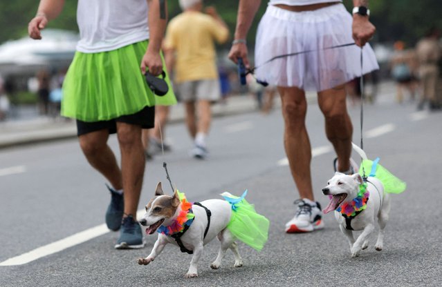 Revellers and their dogs take part in the “Blocao”, or dog carnival parade, during pre-carnival festivities in Rio de Janeiro, Brazil on February 12, 2023. (Photo by Ricardo Moraes/Reuters)