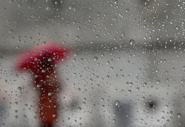 A woman stands in the rain near the United Nations headquarters, in New York City, New York, USA, 30 April 2014. Heavy rain across the US east coast has caused road and air traffic delays across the region, according to reports. (Photo by Andrew Gombert/EPA)