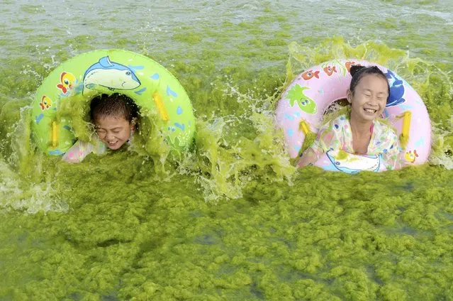 Children laugh as they swim with floats at the seashore covered by algae, in Qingdao, Shandong province, China, July 24, 2015. (Photo by Reuters/Stringer)