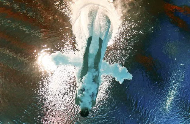 Melissa Wu of Australia is seen underwater during the women's 10m platform semi final at the Aquatics World Championships in Kazan, Russia July 29, 2015. (Photo by Stefan Wermuth/Reuters)