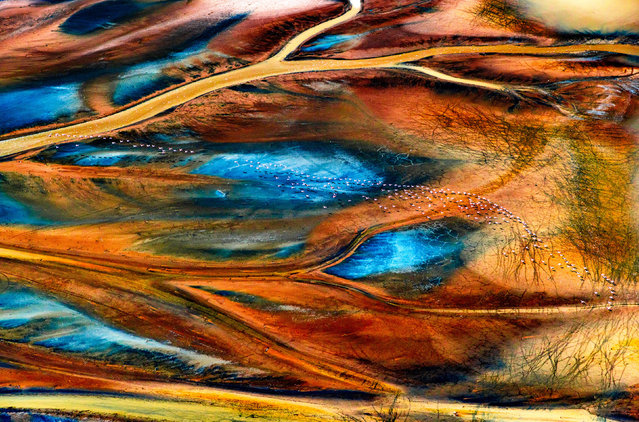 Hundreds of flamingos take flight in the Rift Valley in East Africa early September 2024. The birds gather in the region’s saline lakes to eat the blue-green algae that grows in abundance. The red-orange pigment in the algae is what gives them their distinctive pink plumage. They also use the site to breed. (Photo by Alexandre and Chloe Bes/Naturagency/Solent News)