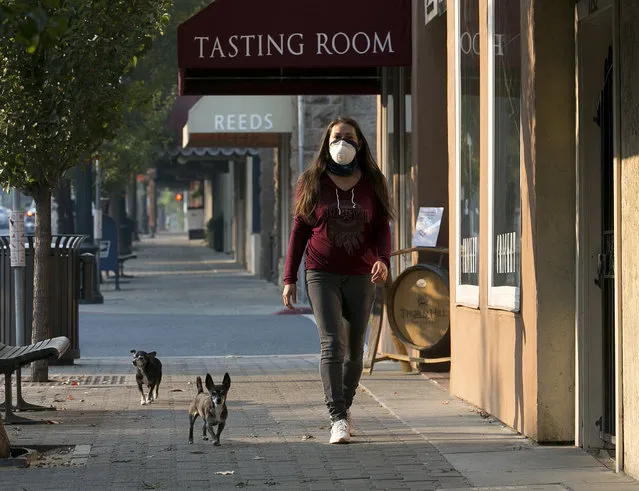 Vianey Zaldiver, wears a mask due to the smoke in the area as she and her dogs, Bruno, left, and Rocko, walk the deserted sidewalk of downtown St Helena, Calif. Friday, October 13, 2017. Many of the residents of the historic wine country town, usually filled with tourists and wine enthusiasts, left, the town as flames from a massive wildfire neared. (Photo by Rich Pedroncelli/AP Photo)