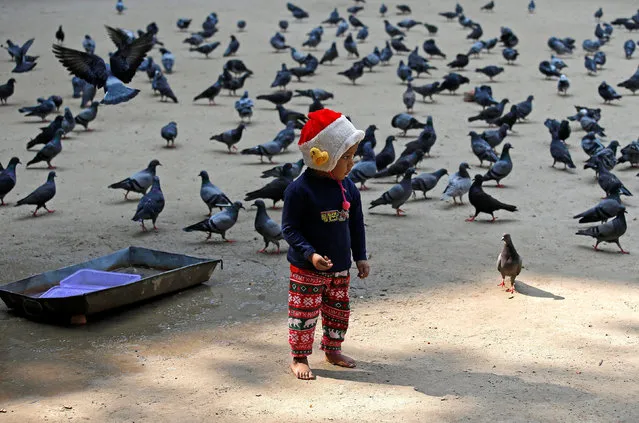 A boy feeds pigeons on a cold winter morning in Kolkata, India on November 29, 2017. (Photo by Rupak de Chowdhuri/Reuters)