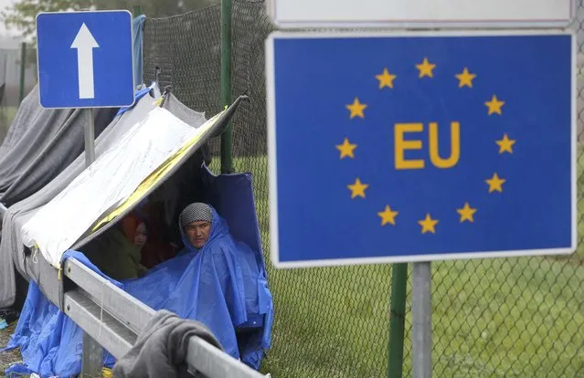 An EU sign is seen as migrants wait in the no man's land to cross the border to Slovenia from Trnovec, Croatia, October 19, 2015. (Photo by Srdjan Zivulovic/Reuters)