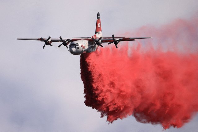A tanker drops retardant as firefighters battle the Gifford Fire in brush-covered hillsides west of New Cuyama, California on August 5, 2025. (Photo by David Swanson/Reuters)