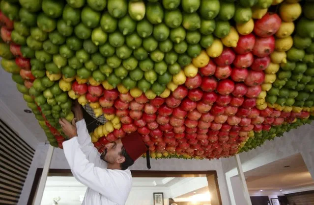 A member of the Samaritan sect decorates a traditional hut known as a sukkah with fruits and vegetables on Mount Gerizim, on the outskirts of the West Bank city of Nablus, October 25, 2015. (Photo by Abed Omar Qusini/Reuters)