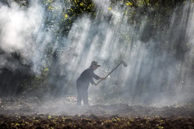 This photo taken on October 22, 2020 shows a farmer working in a field in Bijie, in southeastern China's Guizhou province. (Photo by AFP Photo/China Stringer Network)