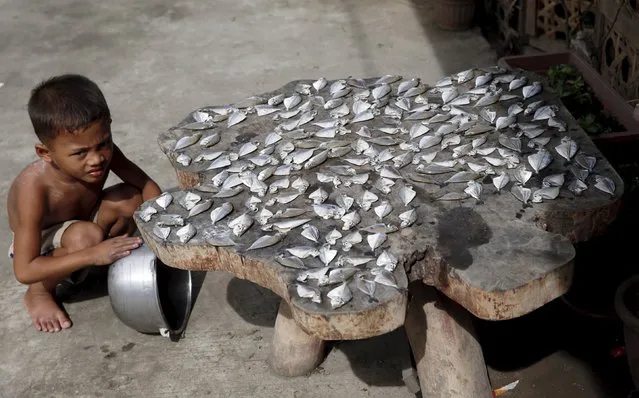 A boy polishes a cooking pot next to fish being dried outside his family's transitional shelter for Typhoon Haiyan survivors in Tacloban city November 1, 2015, ahead of the second anniversary of the devastating typhoon that killed more than 6000 people in central Philippines. Thousands of families are still living in transitional shelters while awaiting for their permanent resettlement in central Philippines, local media reports said. (Photo by Erik De Castro/Reuters)