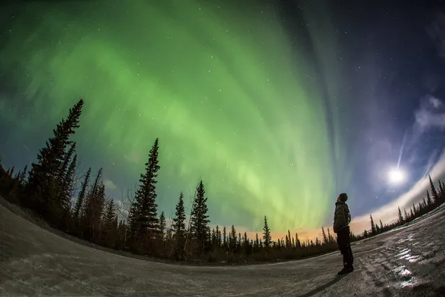 Aurora borealis at Yamnuska, Alberta. (Photo by Paul Zizkas/Caters News)