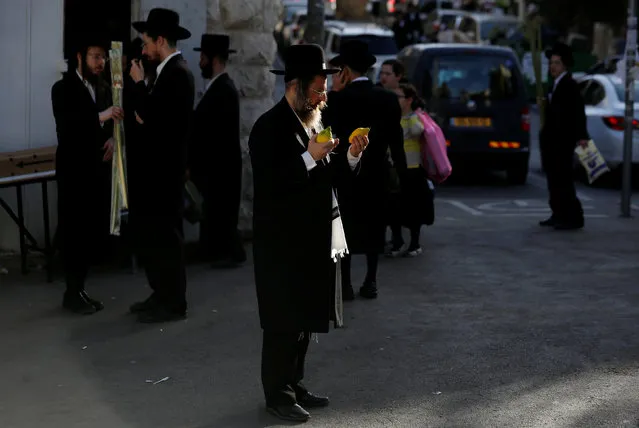 An ultra-Orthodox Jewish man inspects etrog, citrus fruits used in rituals during the upcoming Jewish holiday of Sukkot in Jerusalem's Mea Shearim neighbourhood, October 13, 2016. (Photo by Amir Cohen/Reuters)